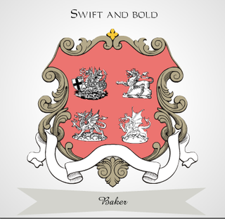 Illustration for article titled What Would Be on Your Coat of Arms?